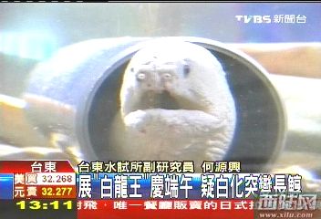  硡ɰ׻ͻ䳤