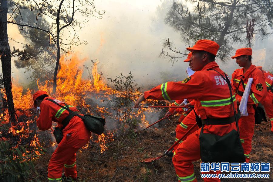(突发事件·后续)(1)云南保山森林火灾火势停止蔓延 过火面积750亩