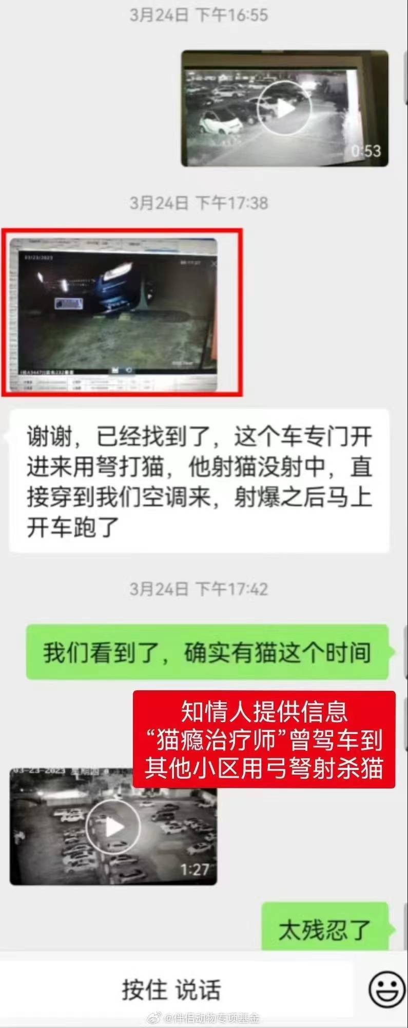 工行南宁新城支行通报“员工被曝虐猫”:属实,已解除劳动合同