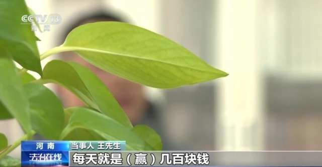 法治在线丨套路专坑游戏玩家 男子玩捕鱼小游戏输掉房子还负债