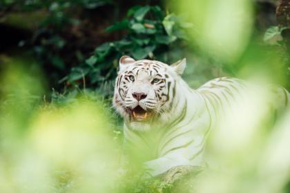 25658PICpKv.jpg